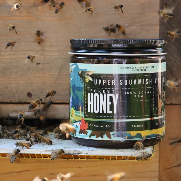 Forest Honey - 100% Local Upper Squamish Valley Honey